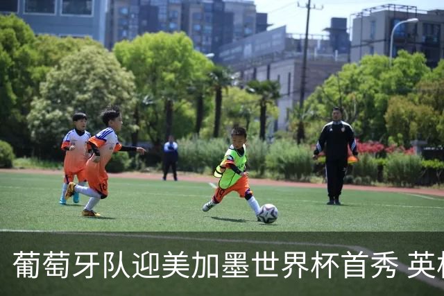 葡萄牙队迎美加墨世界杯首秀 英格兰对阵克罗地亚